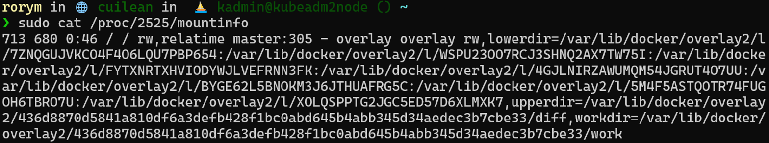 Output of mountinfo in /proc