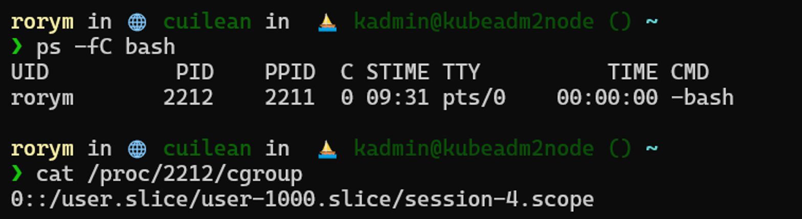 Finding the cgroup scope and slice for a bash shell