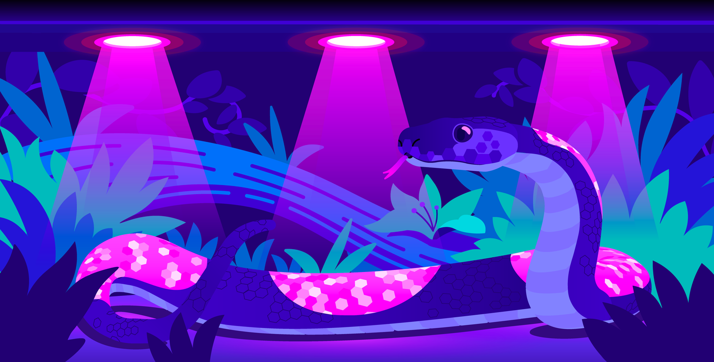 Finding Malicious Pypi Packages Through Static Code Analysis: Meet Guarddog