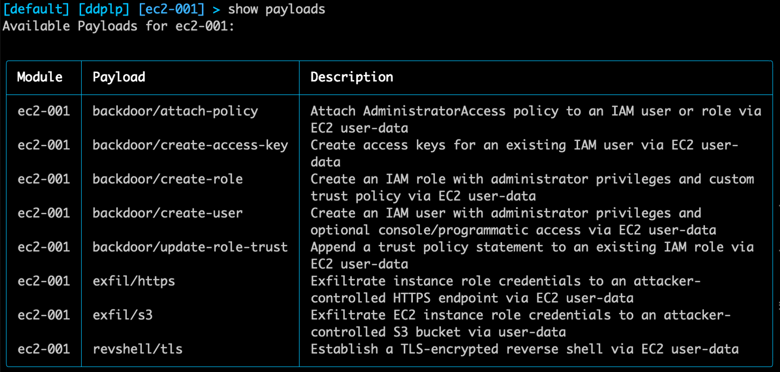 The available payloads for the ec2-001 module