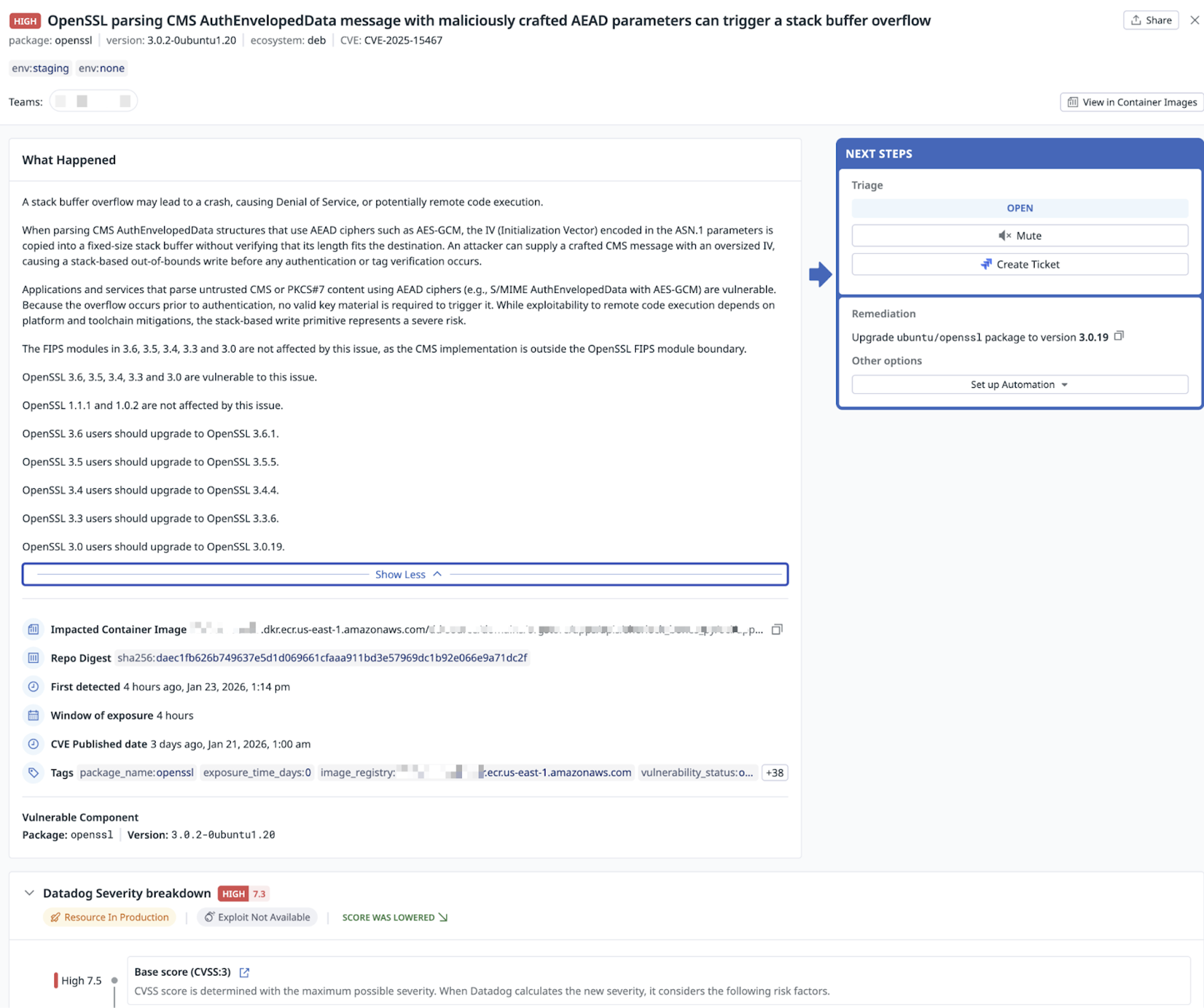 Example finding in Datadog Cloud Vulnerability Management (click to enlarge)