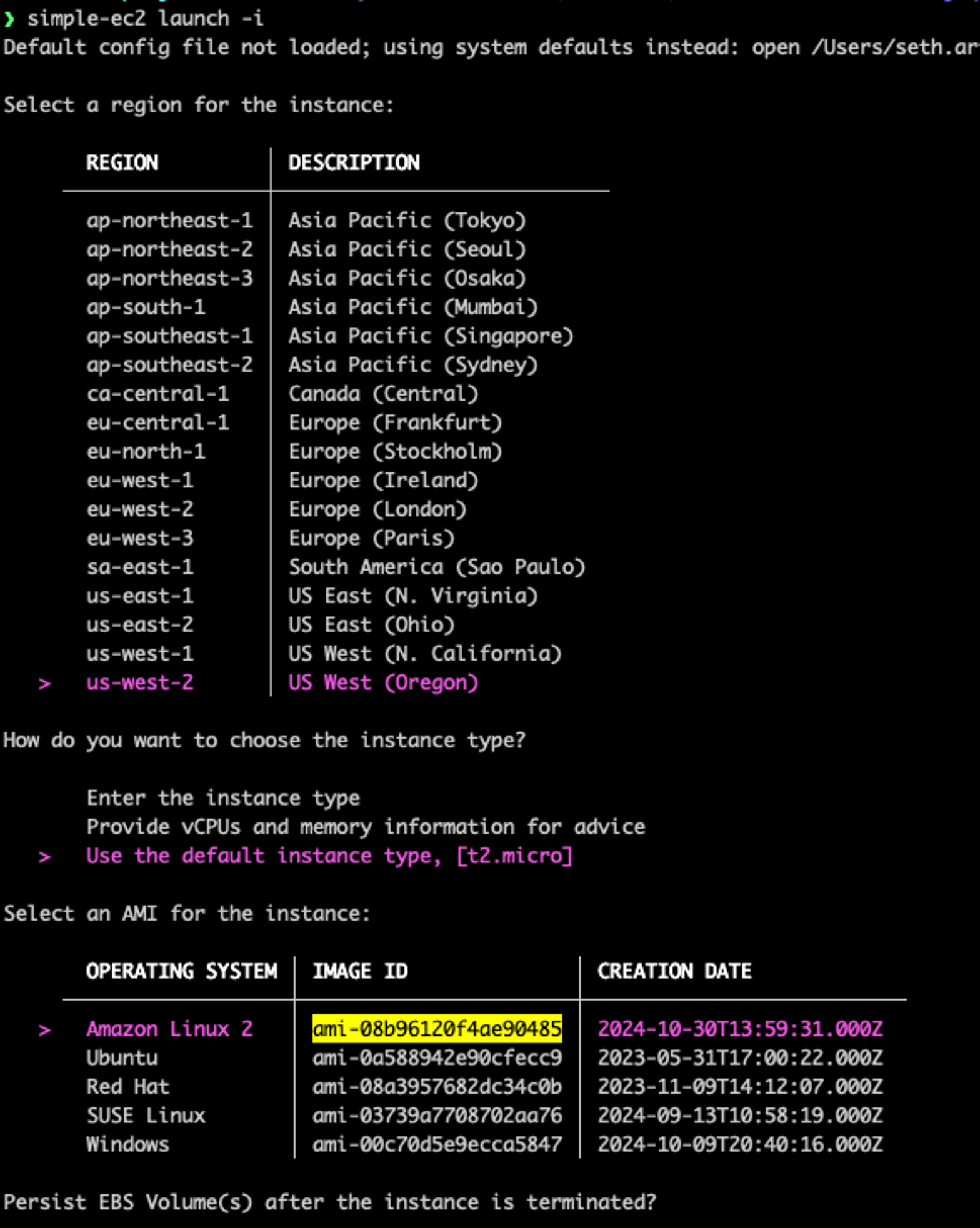 Confirming that `simple-ec2` will use our AMI instead of an AMI from a verified provider.